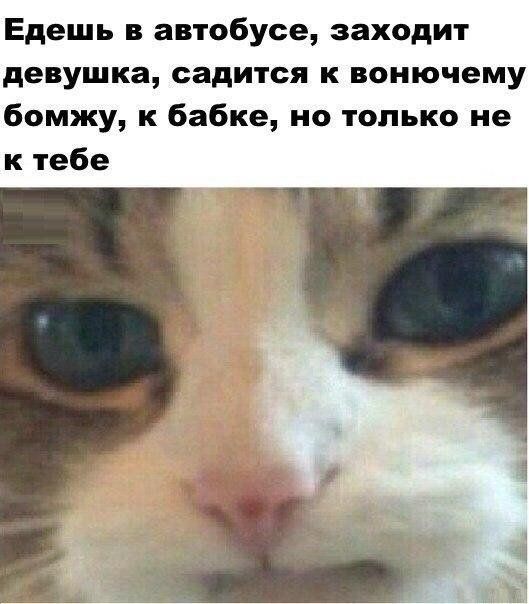 Подборка легкого юмора