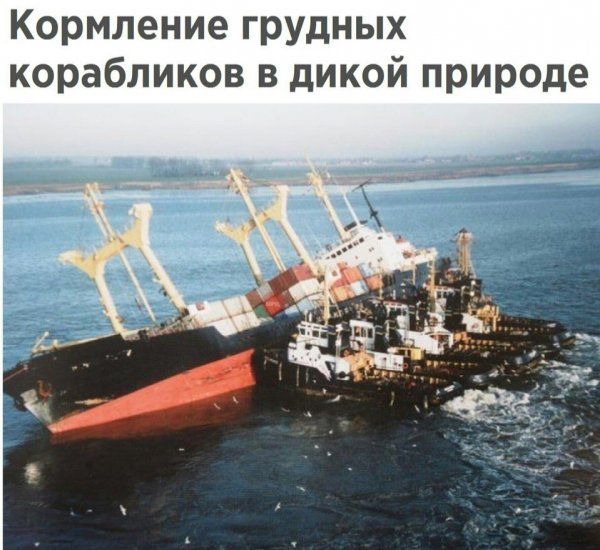 Подборка легкого юмора