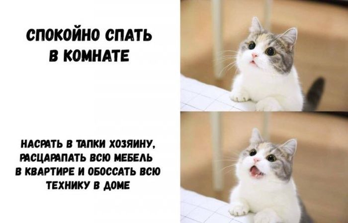 Подборка легкого юмора