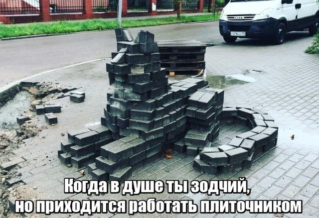 Прикольные картинки
