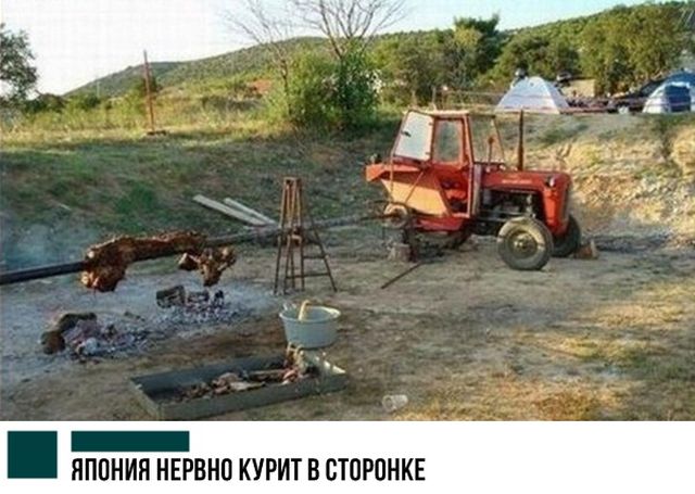 Прикольные картинки