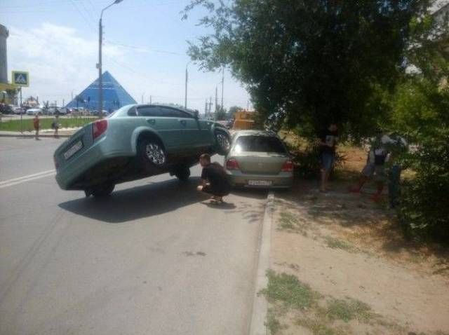 Прикольные картинки