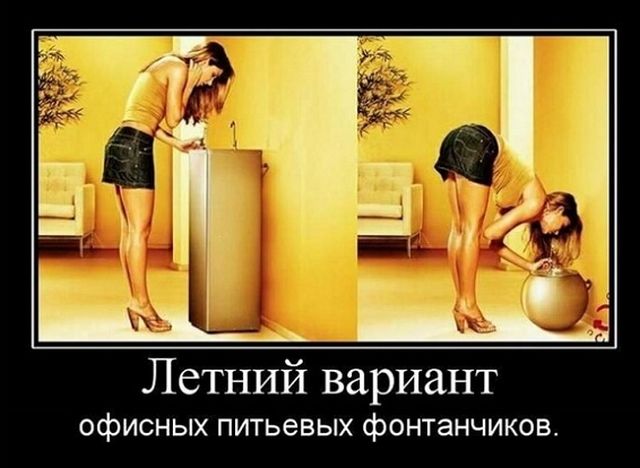 Демотиваторы