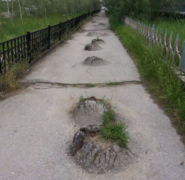 Странности с просторов нашей бескрайней