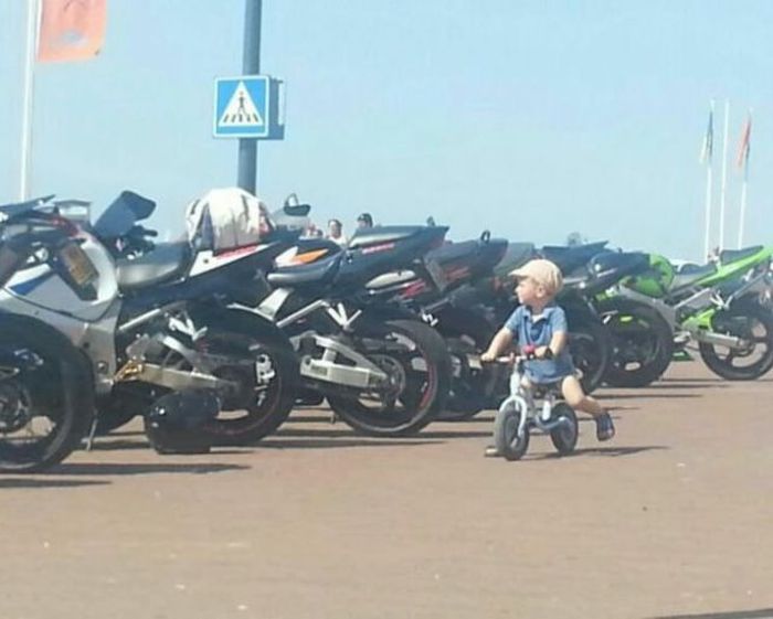 Прикольные картинки