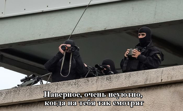Порция картинок