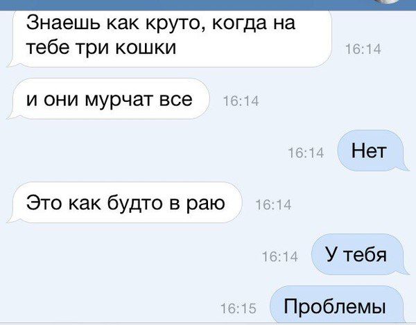 Порция картинок