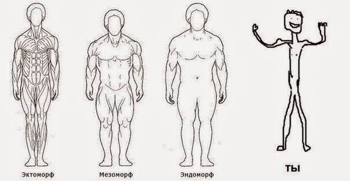 Порция картинок