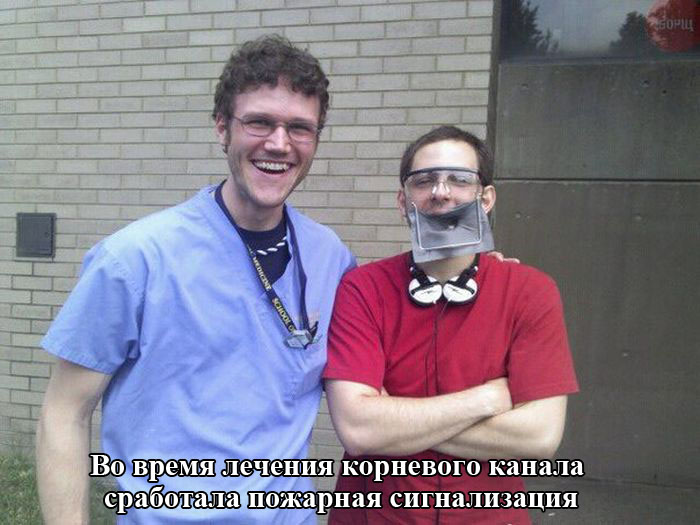 Порция картинок
