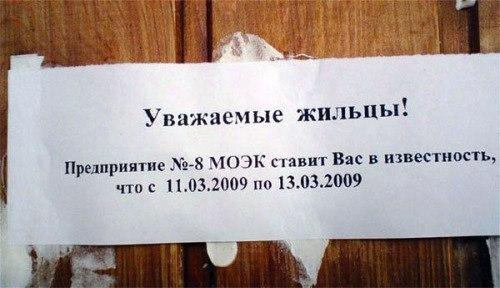 Прикольные картинки (42 фото)