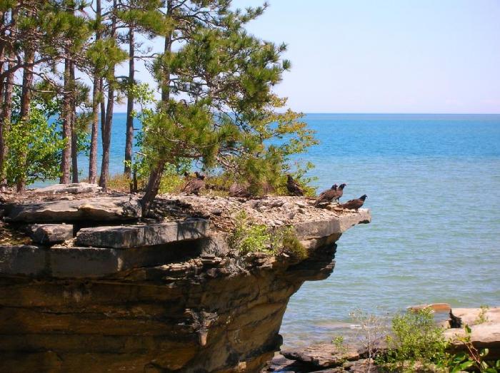 Остров Turnip Rock (7 фото)