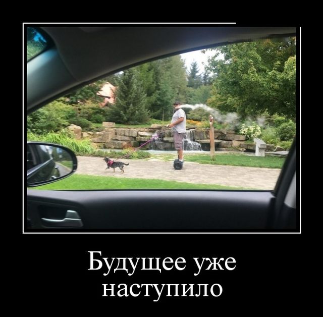 Демотиваторы