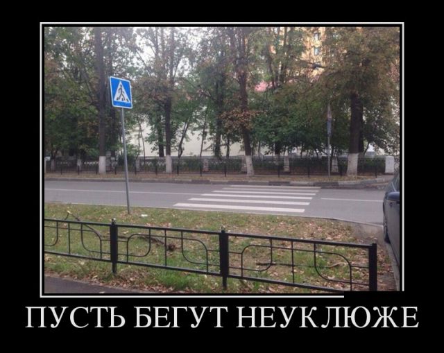 Демотиваторы