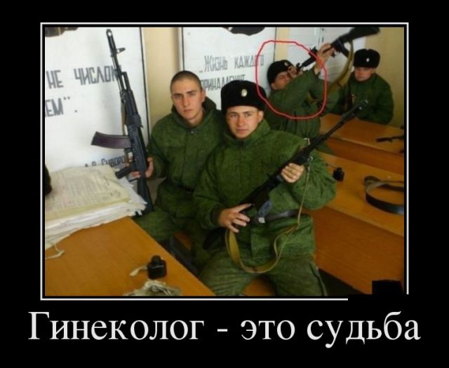 Демотиваторы