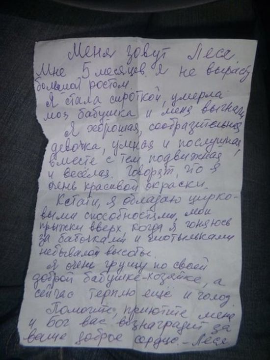 Собака с необычным письмом была привязана к скамейке в парке