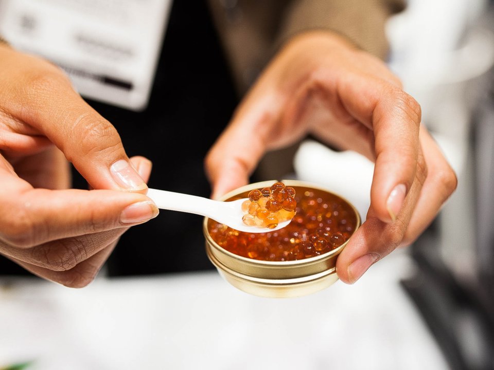 Продукты и блюда, которые редко встречаются в меню авиакомпаний