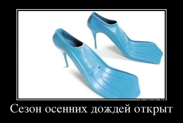 Демотиваторы (60 фото)