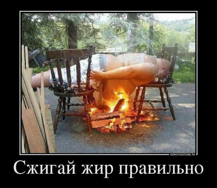 Демотиваторы (60 фото)