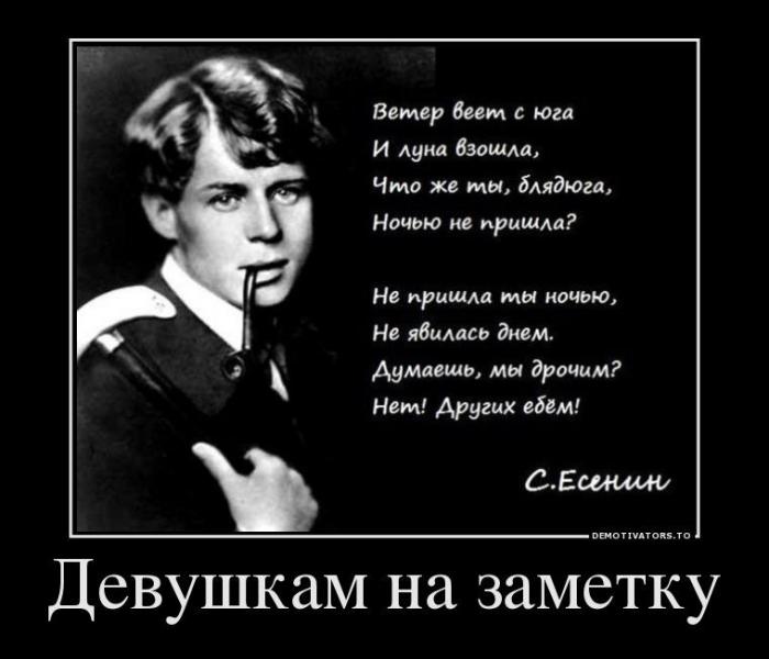Демотиваторы (60 фото)