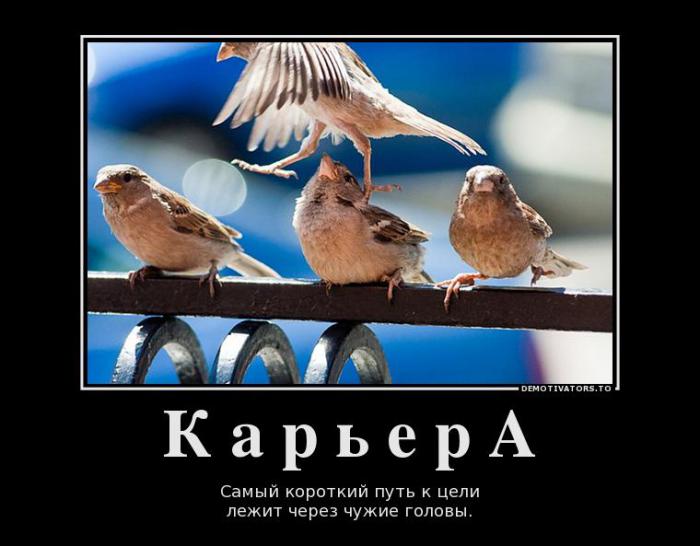 Демотиваторы (60 фото)