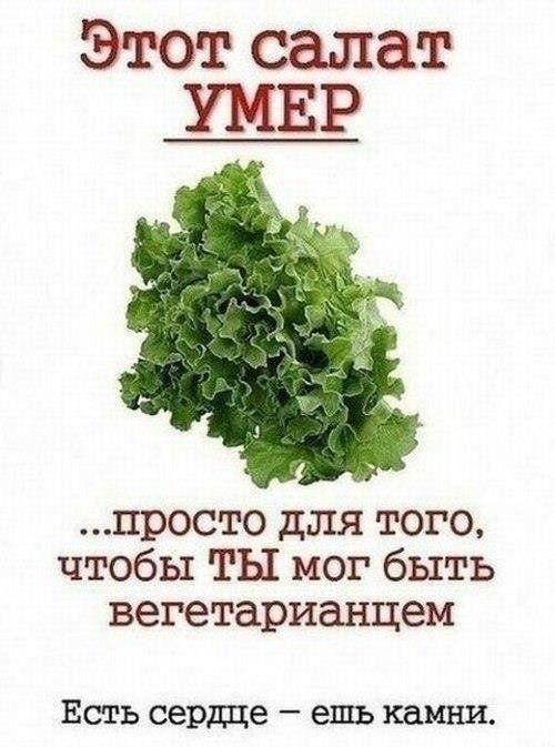 Прикольные картинки (40 фото)