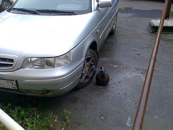 Прикольные картинки (40 фото)