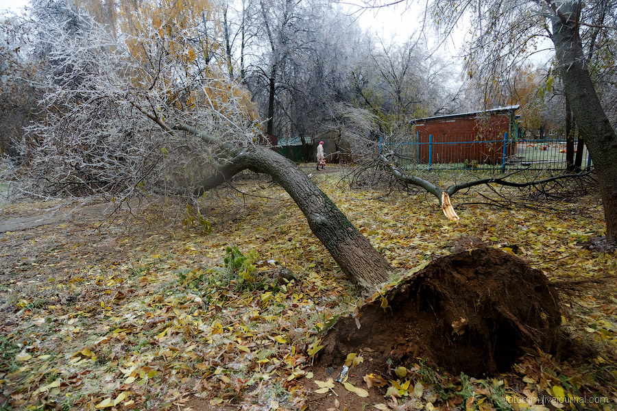 Ледяной дождь в Чебоксарах Ледяной дождь в Чебоксарах