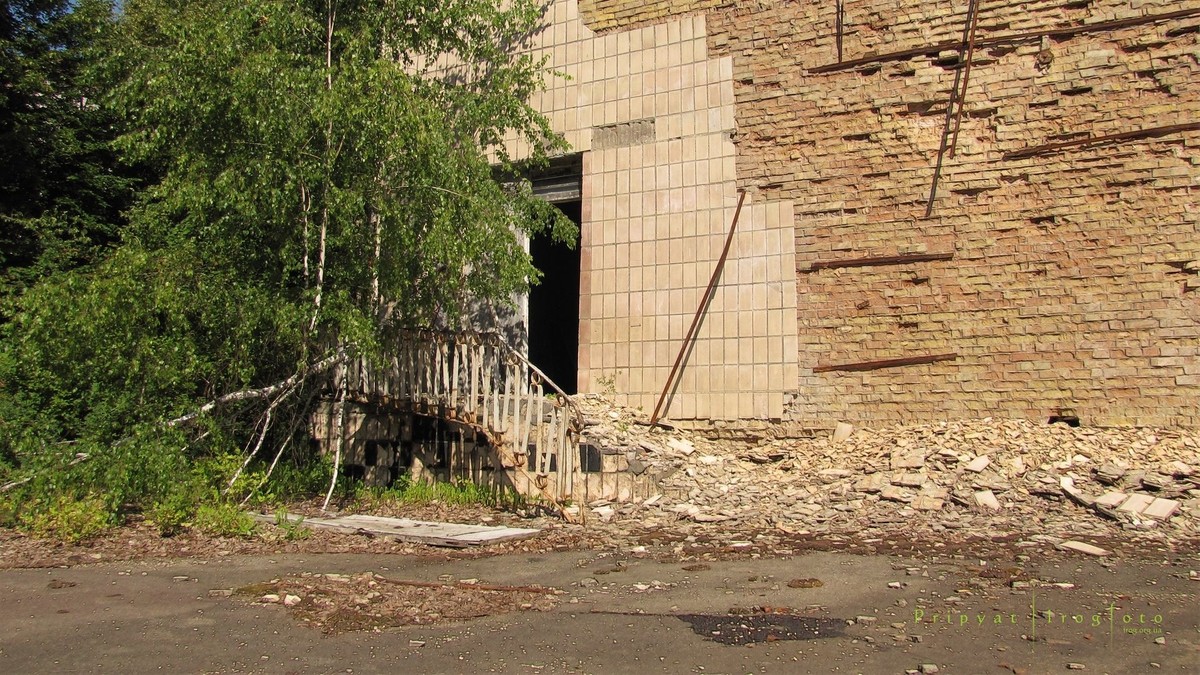 Оживающий Чернобыль