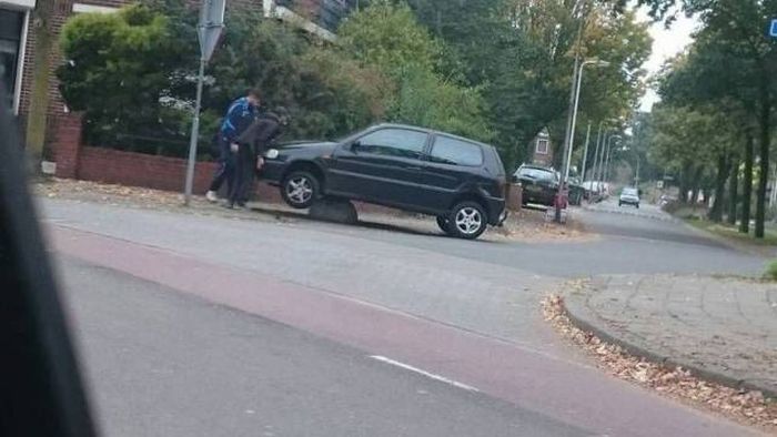 Порция картинок