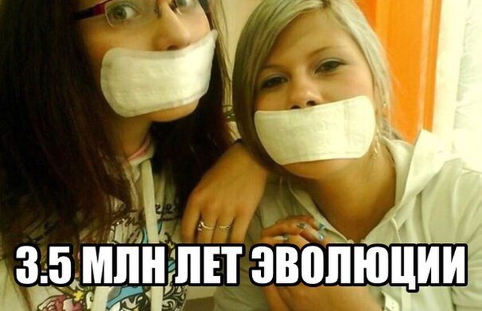 Порция картинок