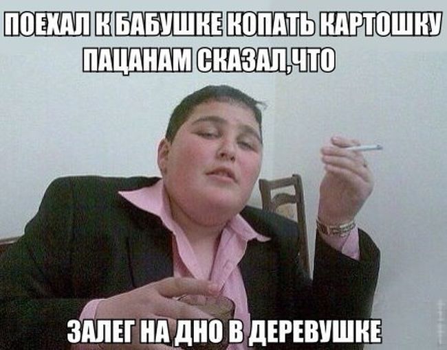 Порция картинок