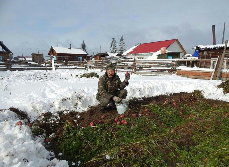 Такое можно встретить только в России