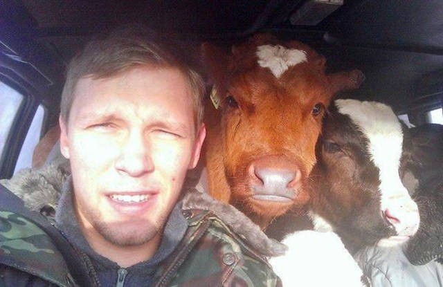 Такое можно встретить только в России