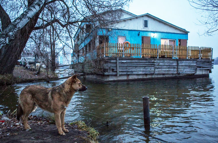 Самые необычные современные сообщества Самые необычные современные сообщества