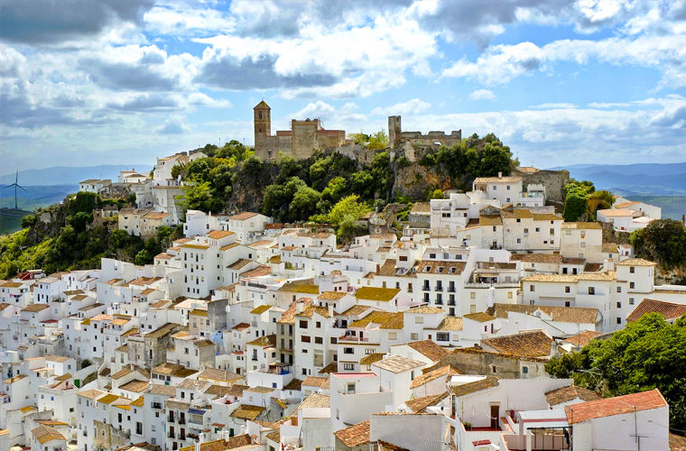 Самые необычные современные сообщества Самые необычные современные сообщества