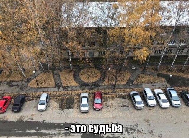 Прикольные картинки