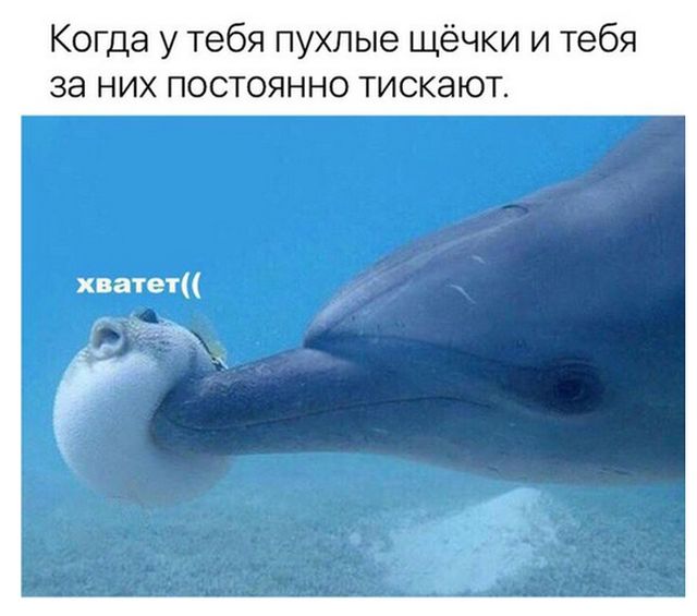 Прикольные картинки