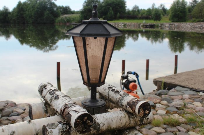 Московский бизнесмен переехал в провинцию, где стал успешным фермером