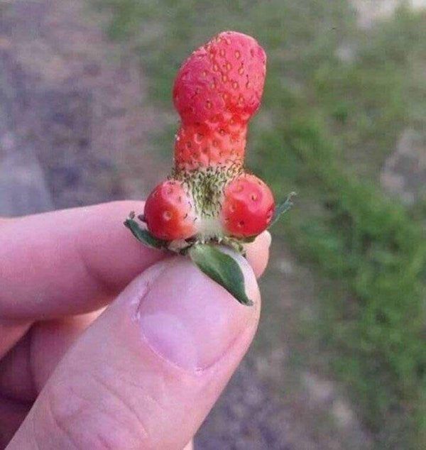 Тест на пошлость