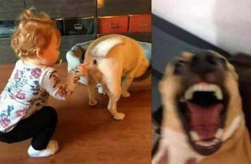 Дерьмо случается