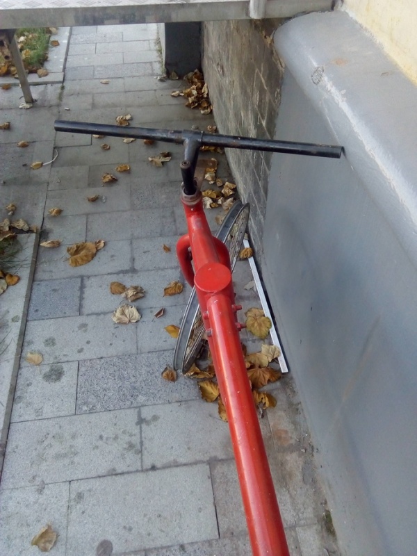 Такого велосипеда вы еще точно никогда не видели