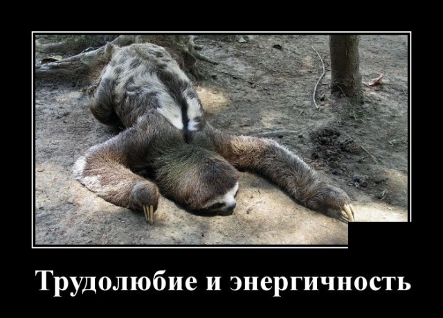 Демотиваторы