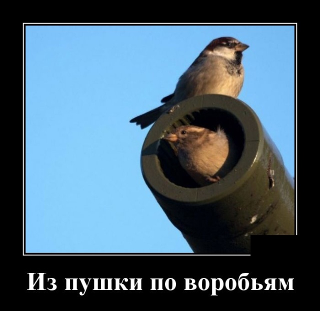 Демотиваторы
