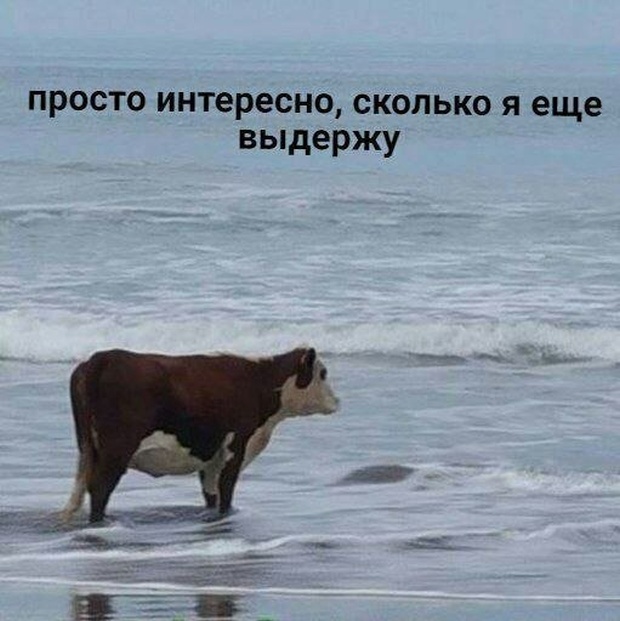 Нестандартный юмор с просторов сети