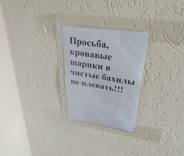 Прикольные картинки