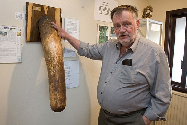 Самые большие пенисы животных Самые большие пенисы животных