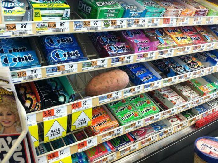 Прикольные картинки