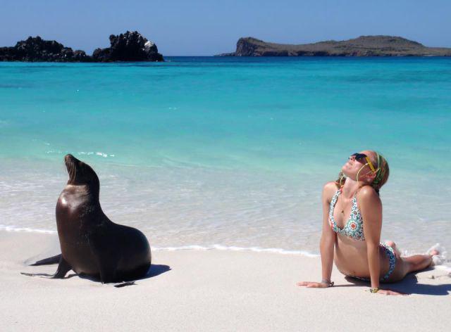 Прикольные картинки