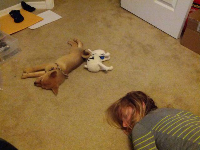 Прикольные картинки