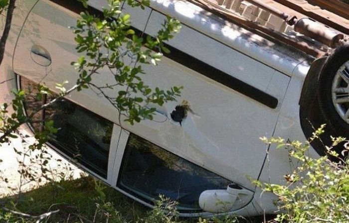 Слон, которому не нравятся автомобили (11 фото)